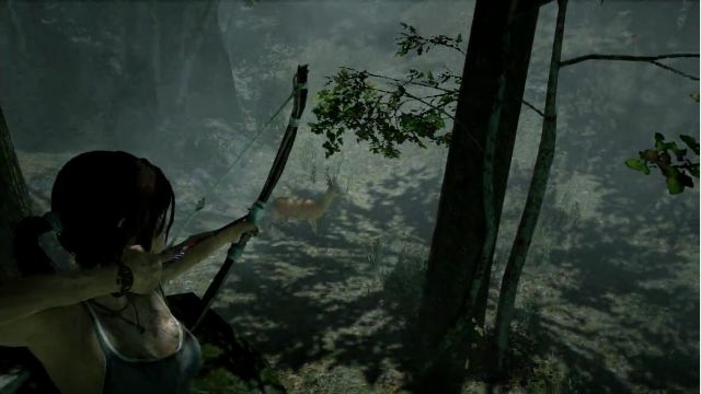 Tomb Raider: Year of the bow